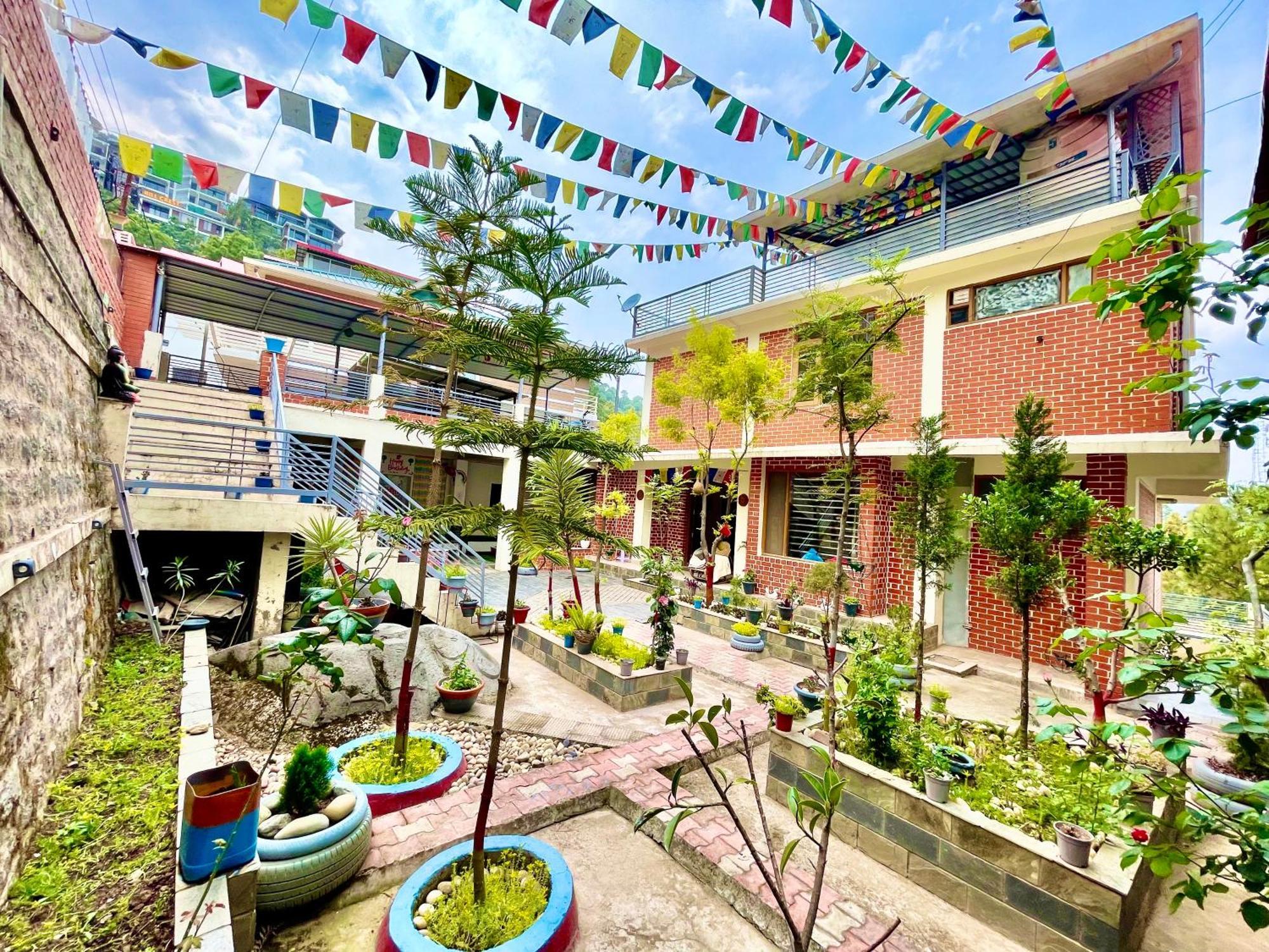 The Auriga 3Bhk Fully Entair Villa With Bonfire In Kasauli I Pvt Stay I Open Air Terrace I Kitchen Livingroom I Lawn Bonfire I Gaming Zone Екстериор снимка